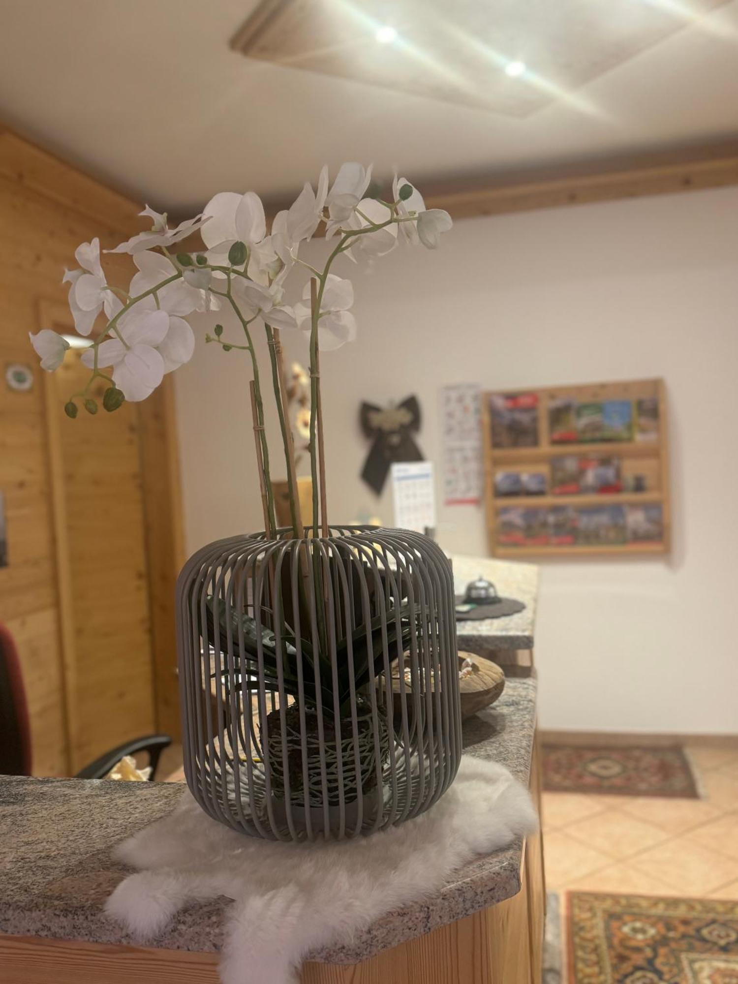 Garni Villa Elsa Pozza di Fassa Exterior foto